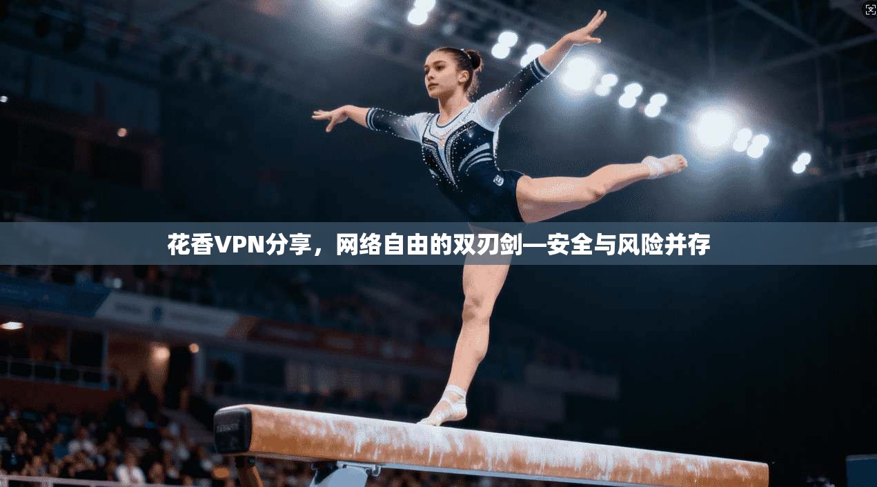 花香VPN分享，网络自由的双刃剑—安全与风险并存