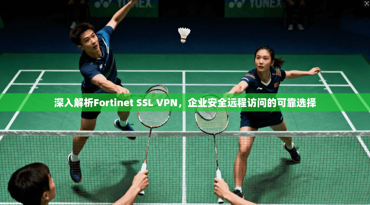 深入解析Fortinet SSL VPN，企业安全远程访问的可靠选择