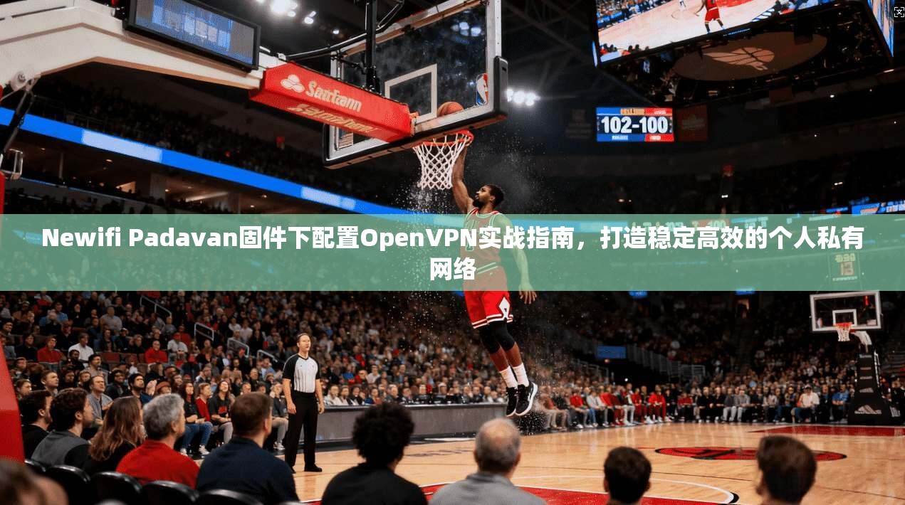 Newifi Padavan固件下配置OpenVPN实战指南，打造稳定高效的个人私有网络