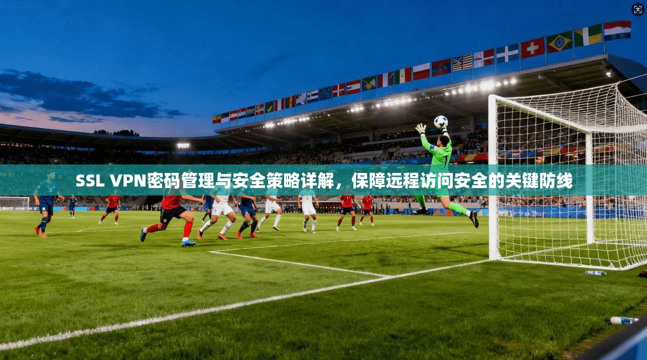 SSL VPN密码管理与安全策略详解，保障远程访问安全的关键防线