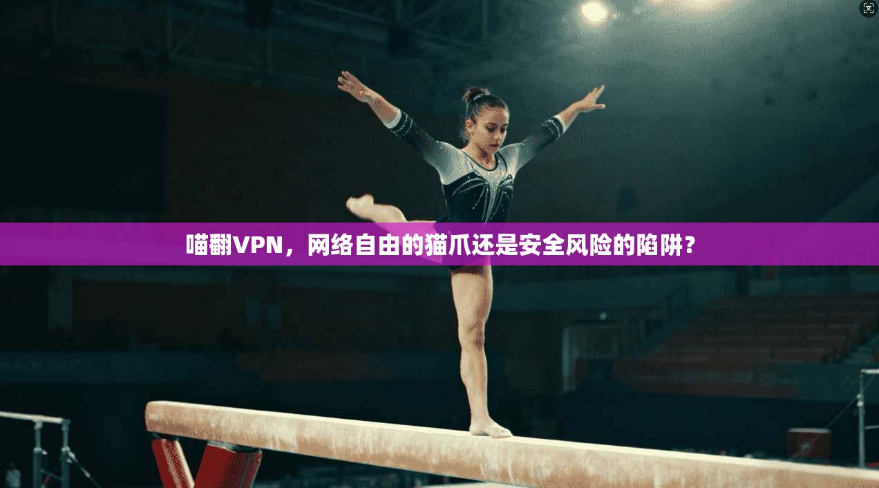 喵翻VPN，网络自由的猫爪还是安全风险的陷阱？