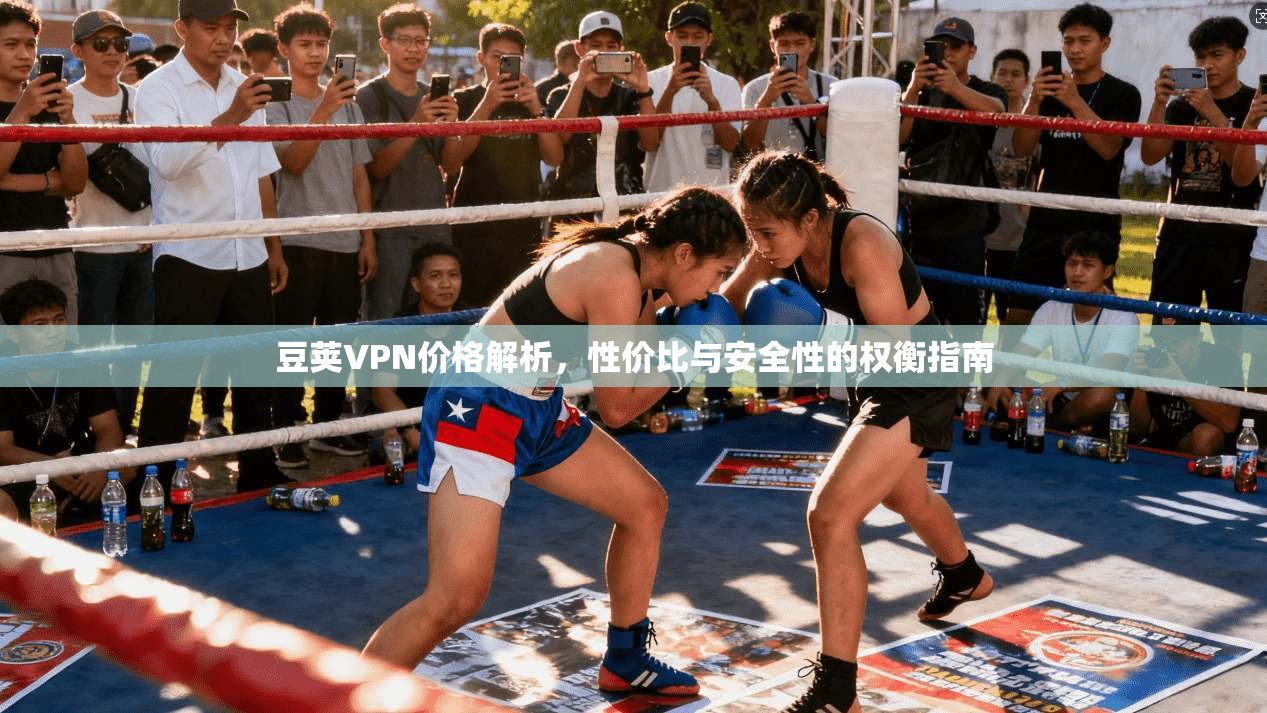 豆荚VPN价格解析，性价比与安全性的权衡指南