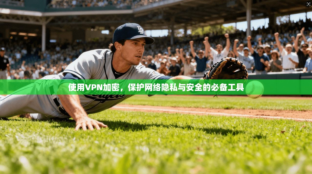 使用VPN加密，保护网络隐私与安全的必备工具