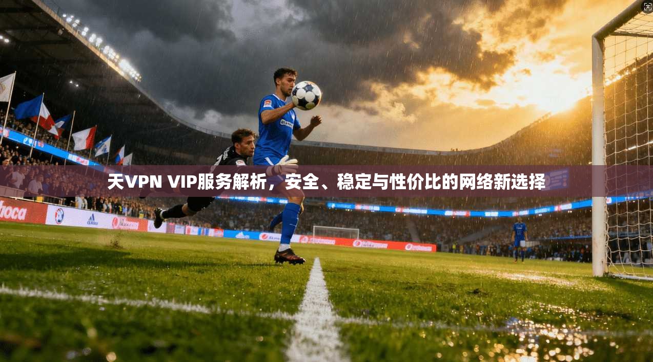 天VPN VIP服务解析,安全、稳定与性价比的网络新选择 天VPN VIP服务解析,安全、稳定与性价比的网络新选择