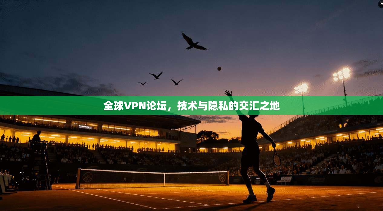 全球VPN论坛，技术与隐私的交汇之地