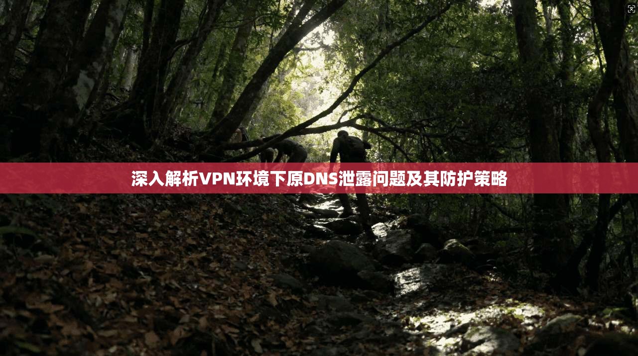 深入解析VPN环境下原DNS泄露问题及其防护策略