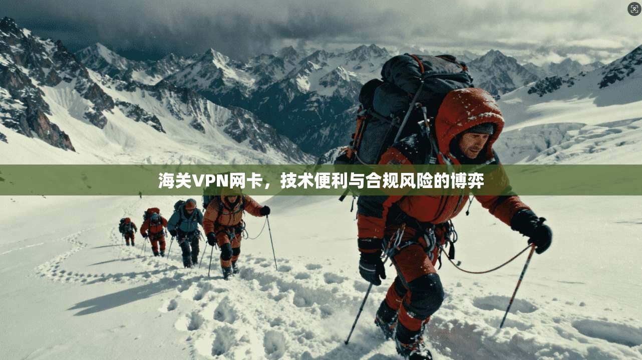 海关VPN网卡，技术便利与合规风险的博弈