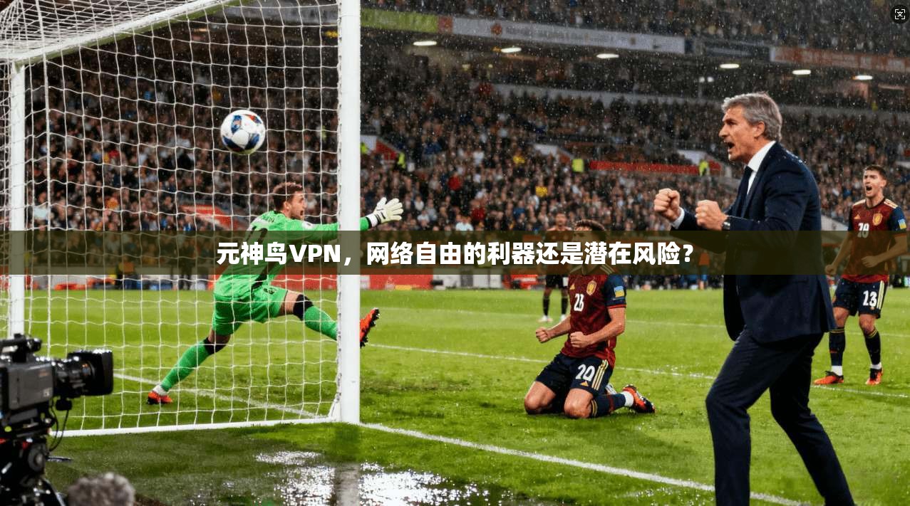 元神鸟VPN，网络自由的利器还是潜在风险？