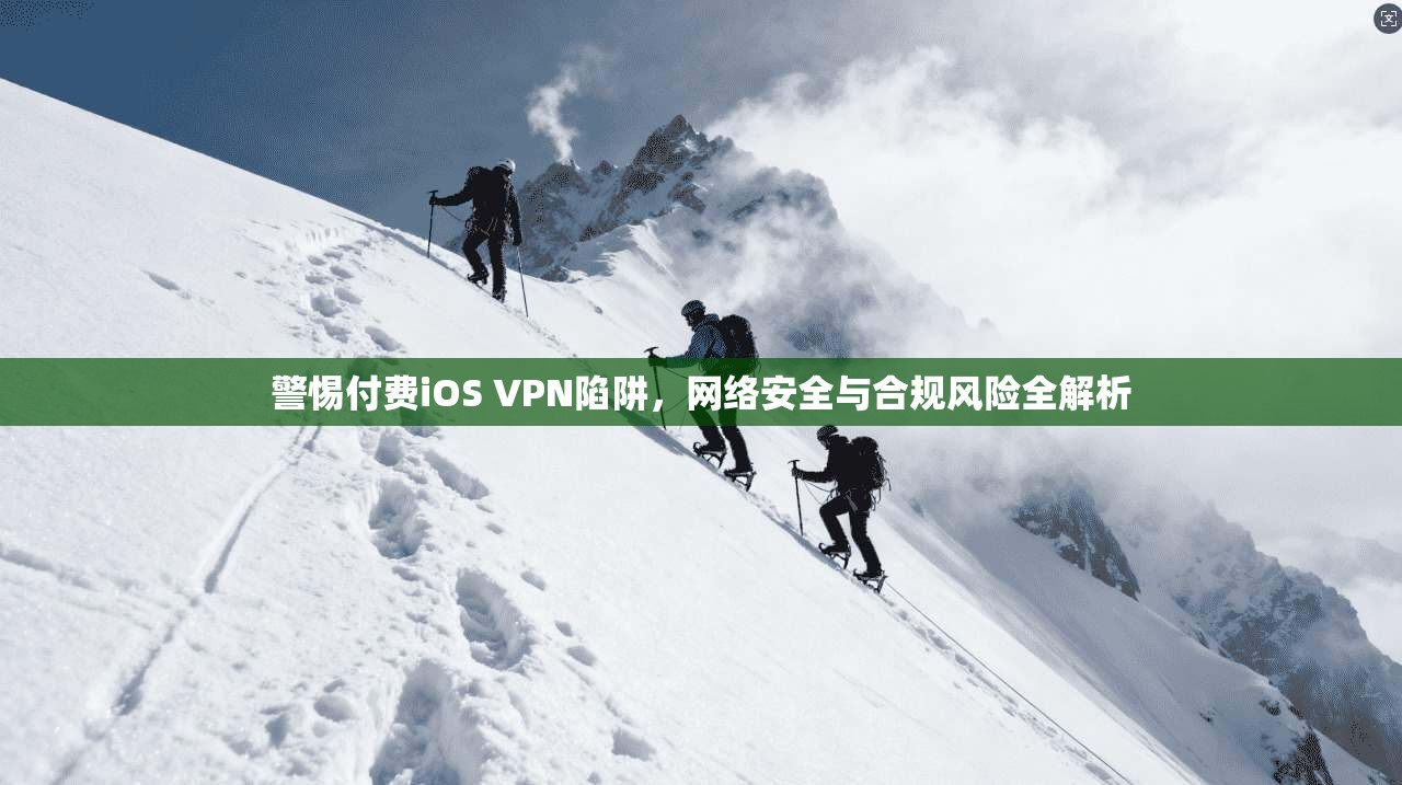 警惕付费iOS VPN陷阱，网络安全与合规风险全解析