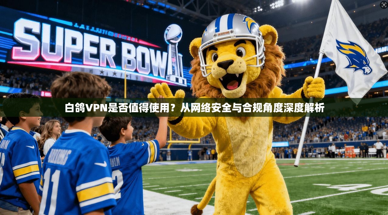 白鸽VPN是否值得使用？从网络安全与合规角度深度解析
