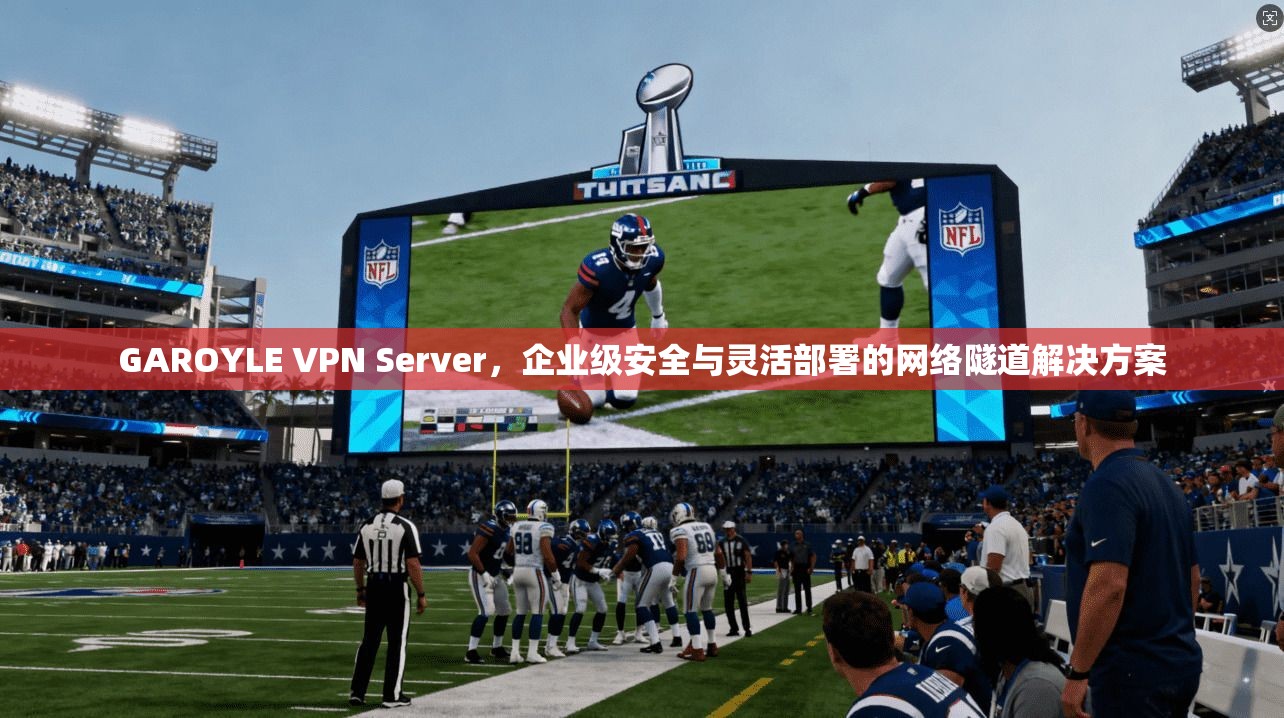 GAROYLE VPN Server，企业级安全与灵活部署的网络隧道解决方案