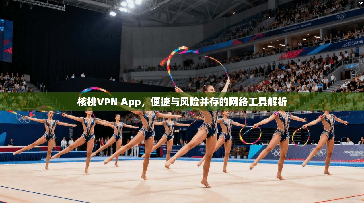 核桃VPN App，便捷与风险并存的网络工具解析