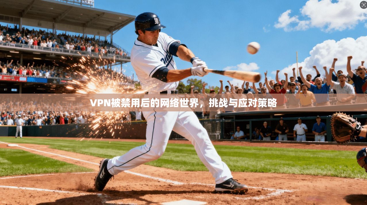 VPN被禁用后的网络世界，挑战与应对策略
