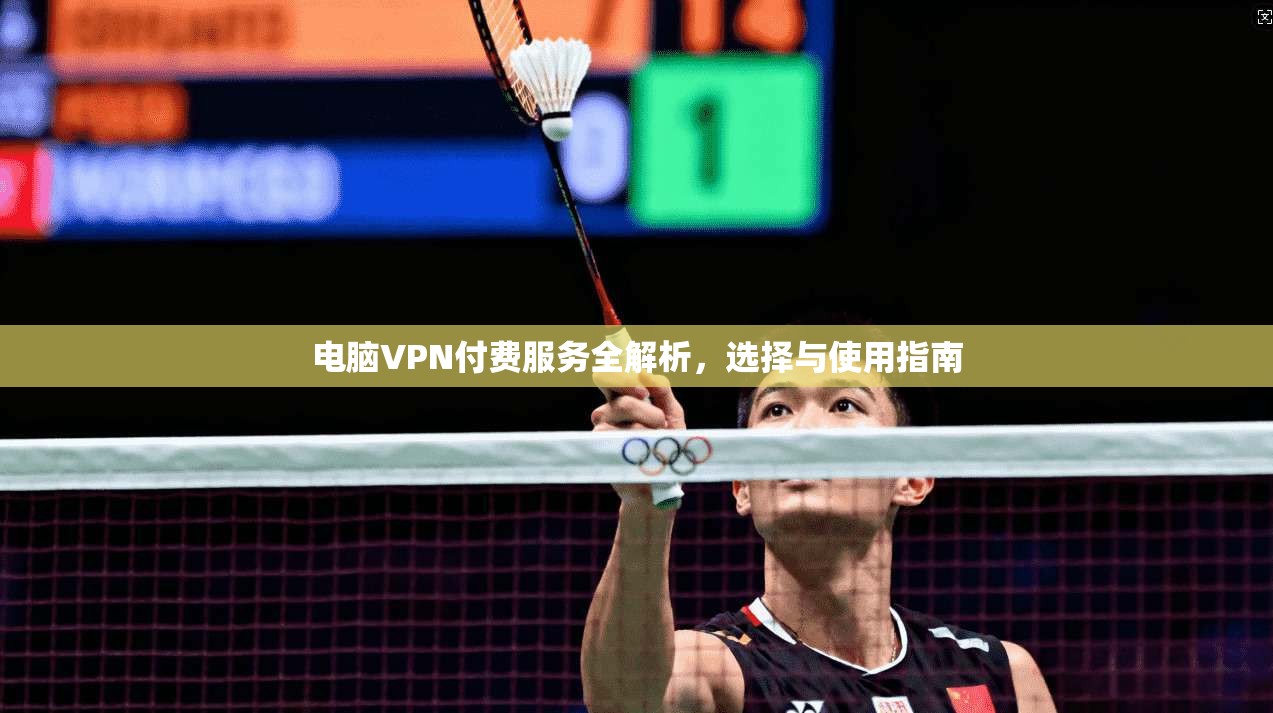 电脑VPN付费服务全解析，选择与使用指南