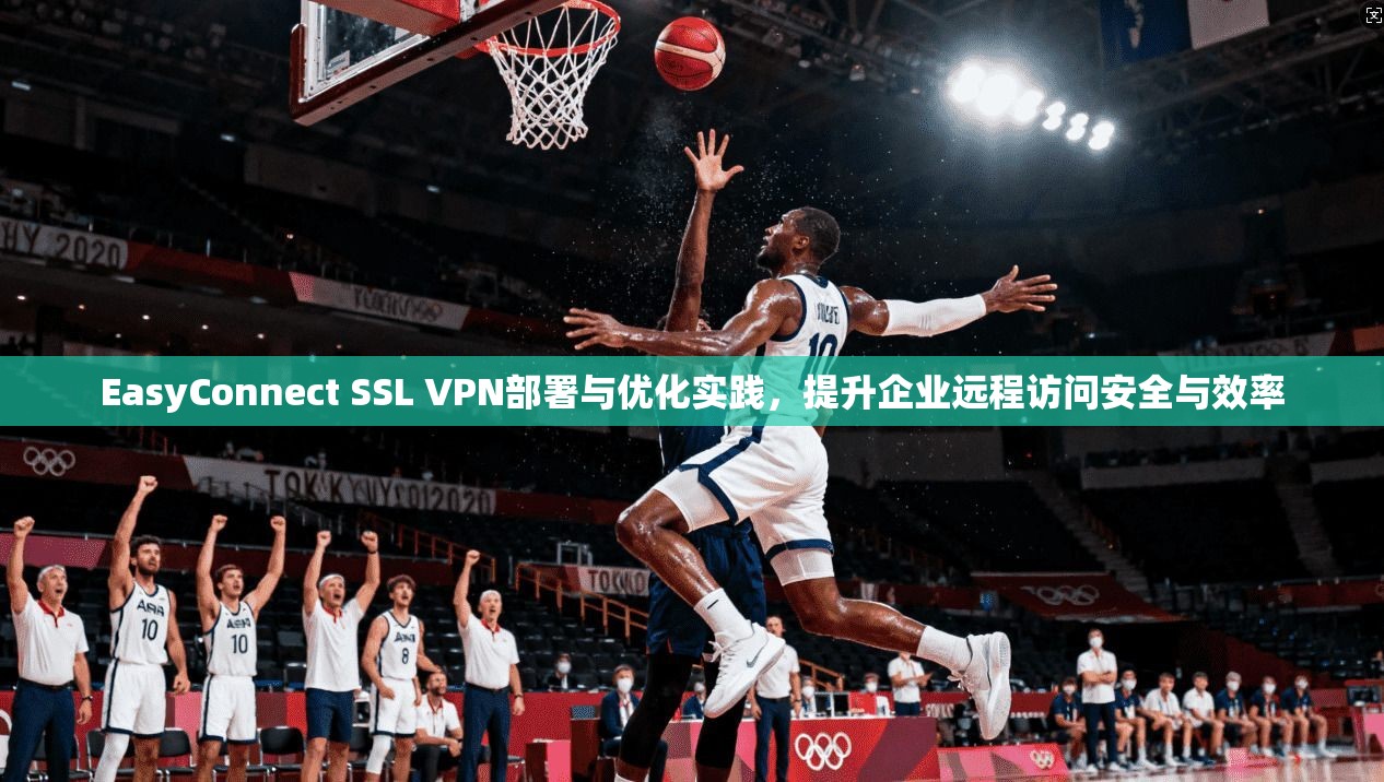 EasyConnect SSL VPN部署与优化实践，提升企业远程访问安全与效率