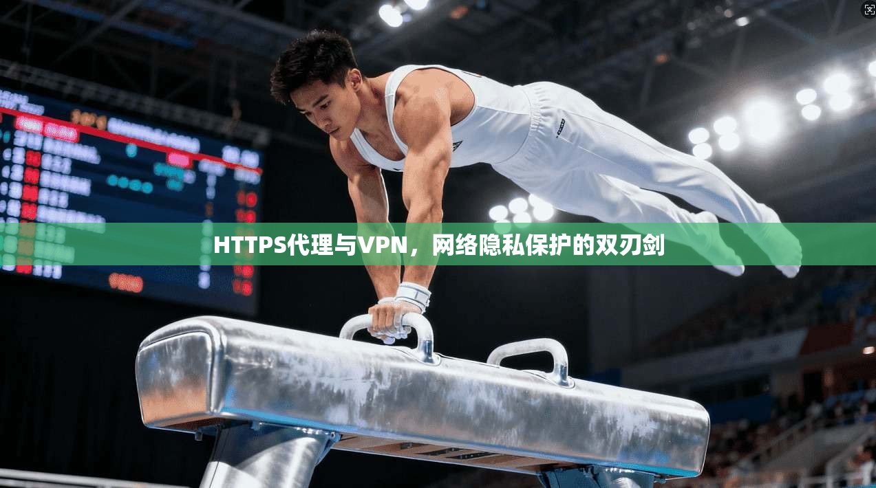 HTTPS代理与VPN，网络隐私保护的双刃剑