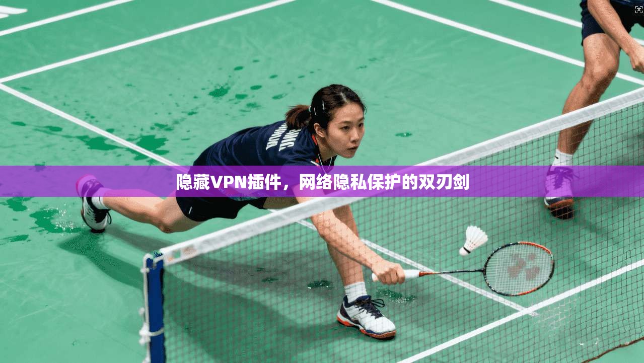 隐藏VPN插件，网络隐私保护的双刃剑