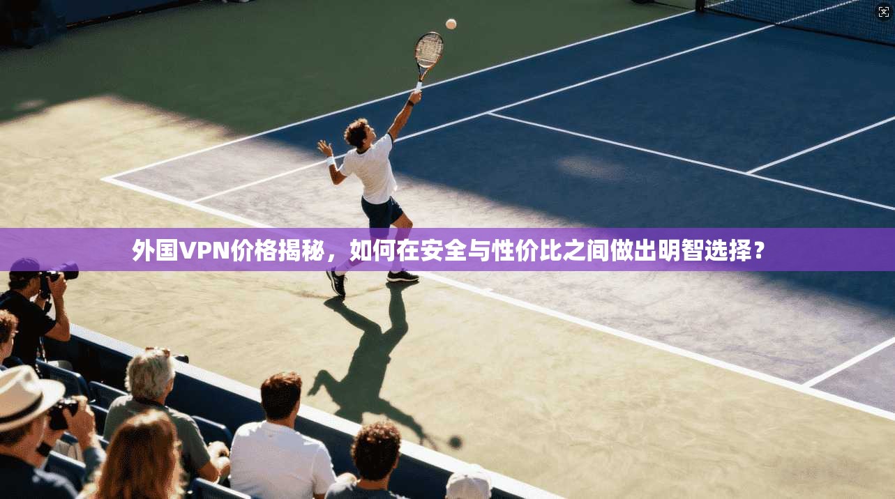 外国VPN价格揭秘，如何在安全与性价比之间做出明智选择？