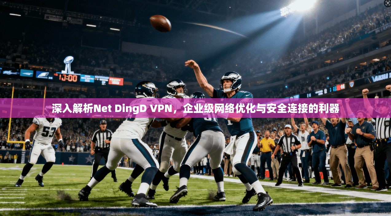 深入解析Net DingD VPN,企业级网络优化与安全连接的利器