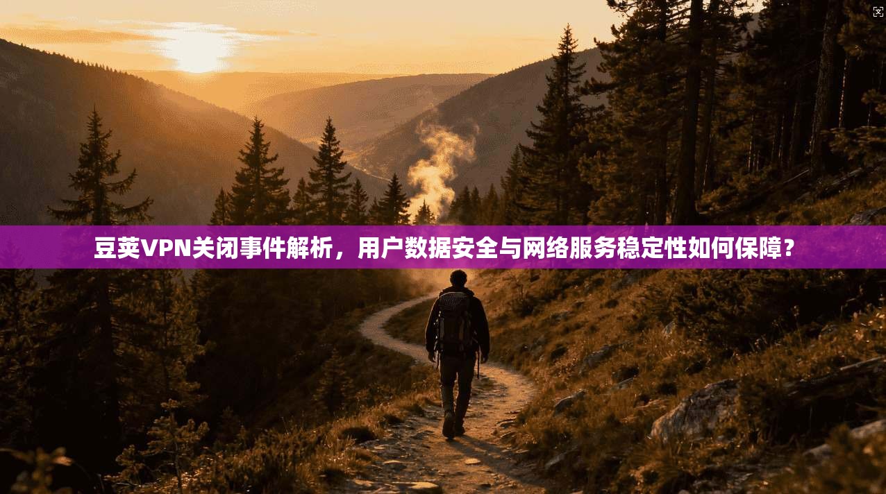 豆荚VPN关闭事件解析，用户数据安全与网络服务稳定性如何保障？