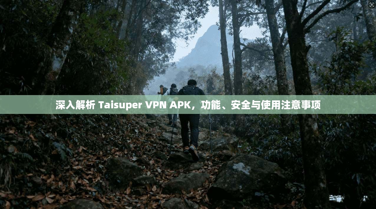 深入解析 Taisuper VPN APK，功能、安全与使用注意事项