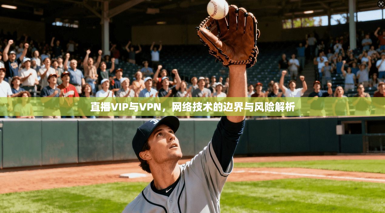 直播VIP与VPN,网络技术的边界与风险解析