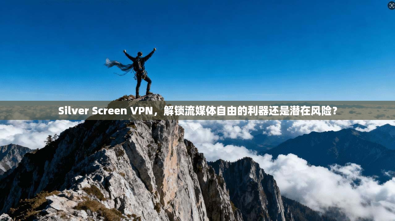 Silver Screen VPN，解锁流媒体自由的利器还是潜在风险？