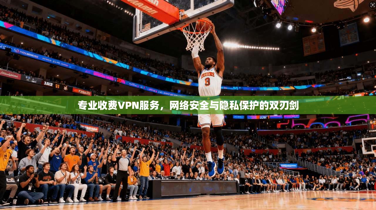 专业收费VPN服务，网络安全与隐私保护的双刃剑