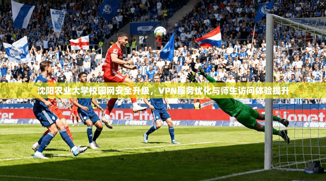 沈阳农业大学校园网安全升级,VPN服务优化与师生访问体验提升