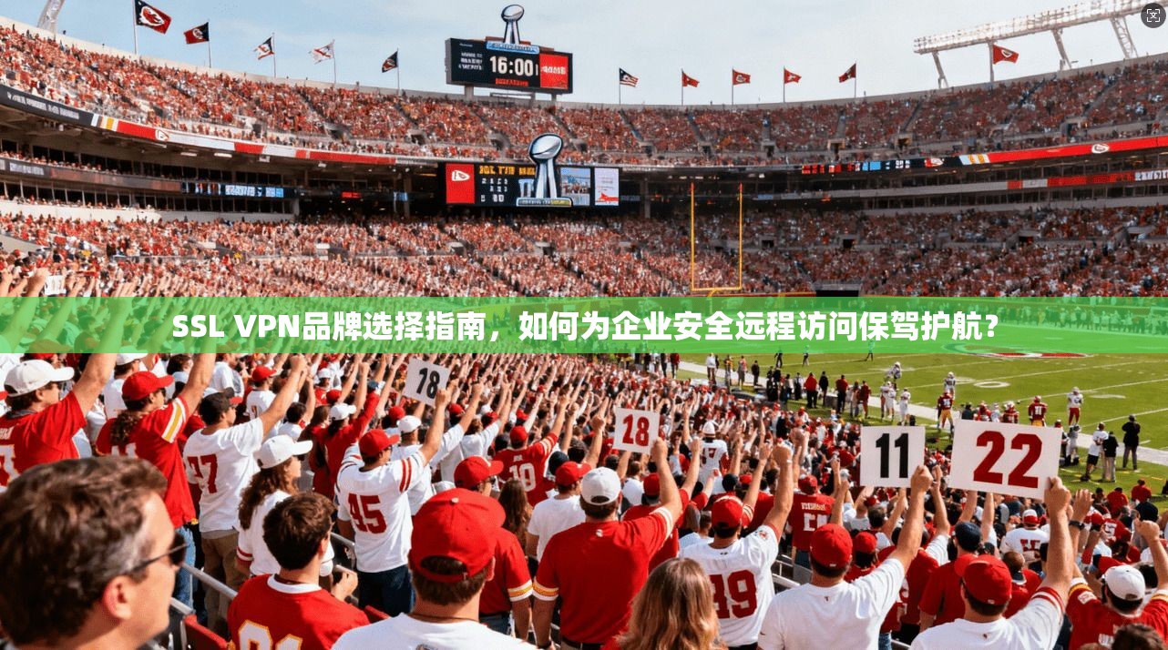 SSL VPN品牌选择指南，如何为企业安全远程访问保驾护航？