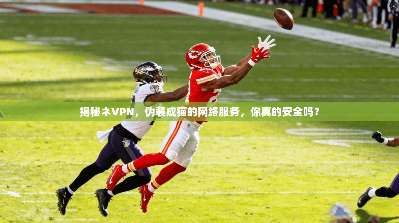 揭秘ネVPN,伪装成猫的网络服务,你真的安全吗? 揭秘ネVPN,伪装成猫的网络服务,你真的安全吗?