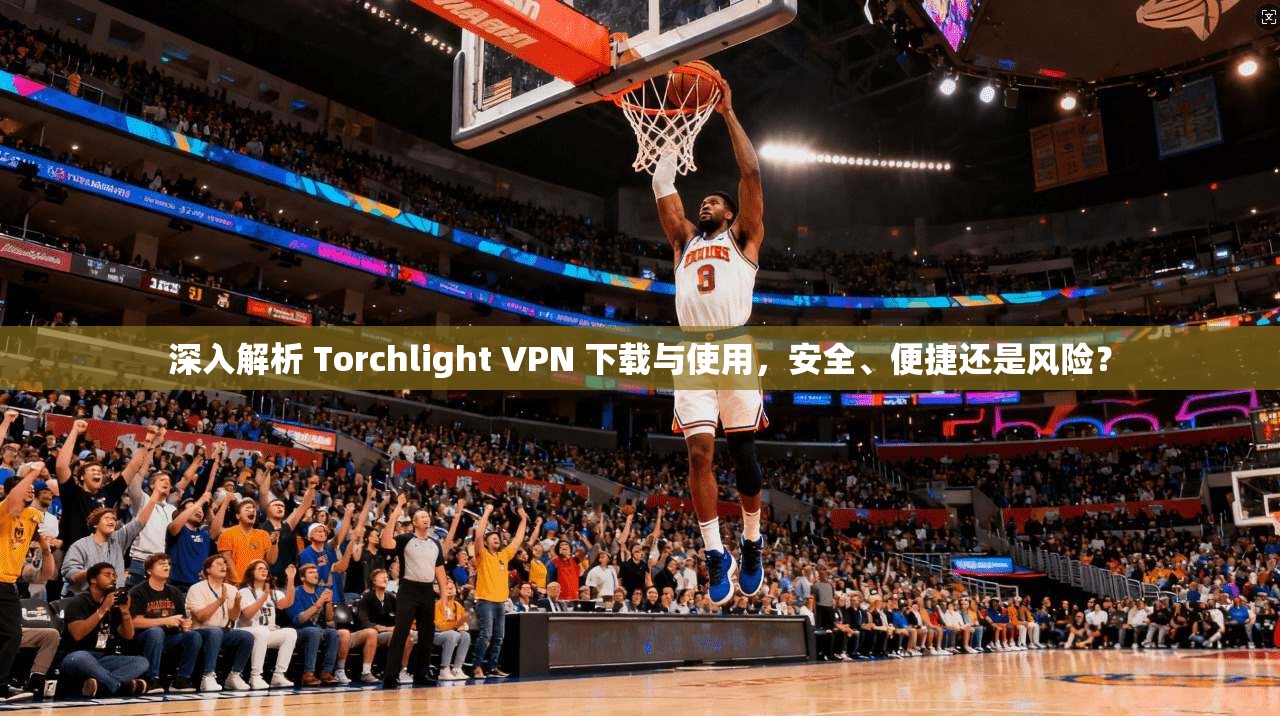 深入解析 Torchlight VPN 下载与使用,安全、便捷还是风险?