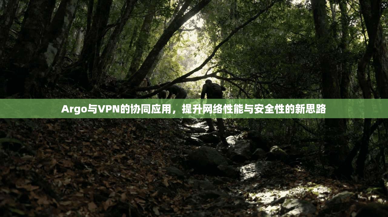 Argo与VPN的协同应用,提升网络性能与安全性的新思路