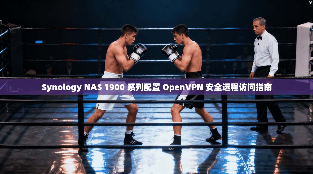 Synology NAS 1900 系列配置 OpenVPN 安全远程访问指南