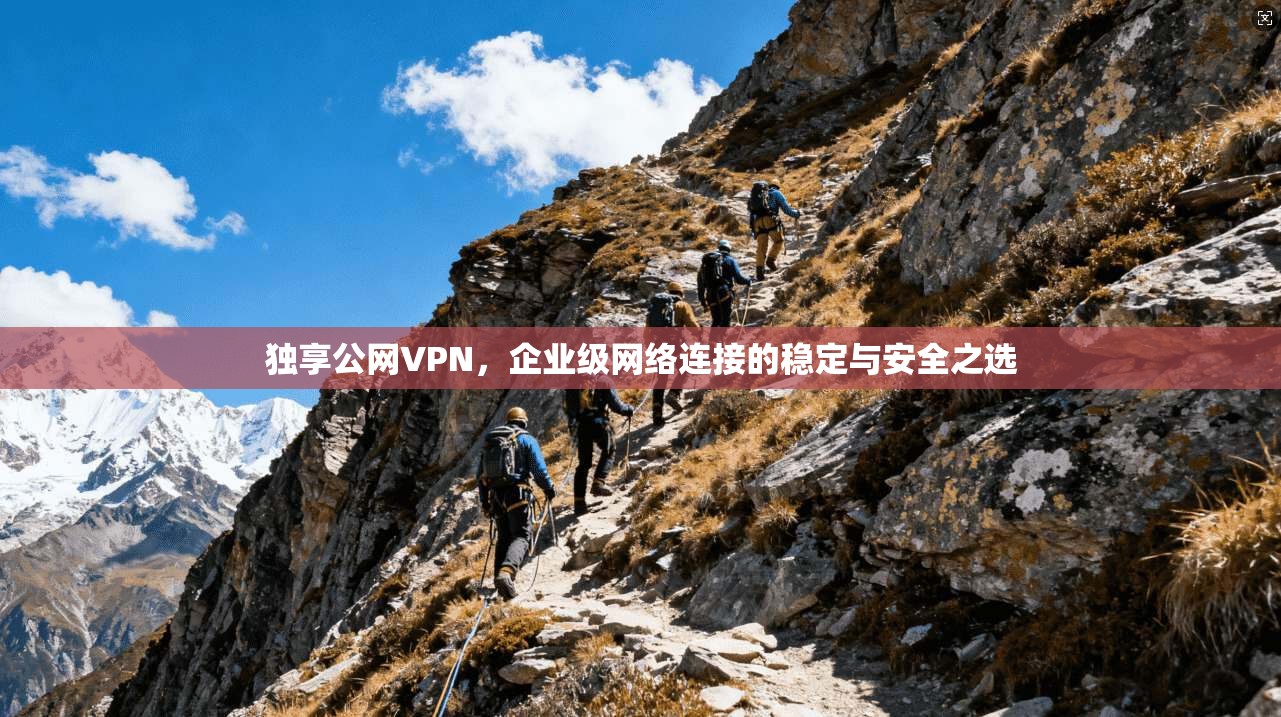 独享公网VPN，企业级网络连接的稳定与安全之选