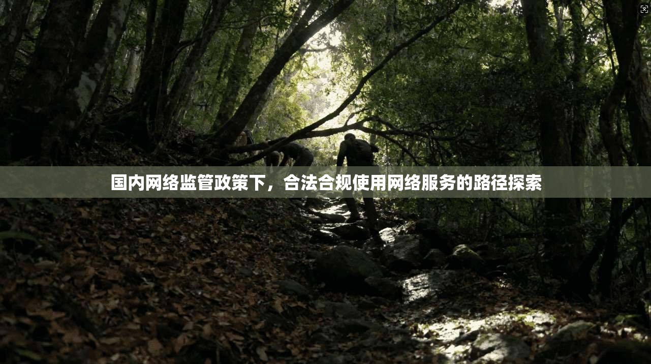 国内网络监管政策下，合法合规使用网络服务的路径探索