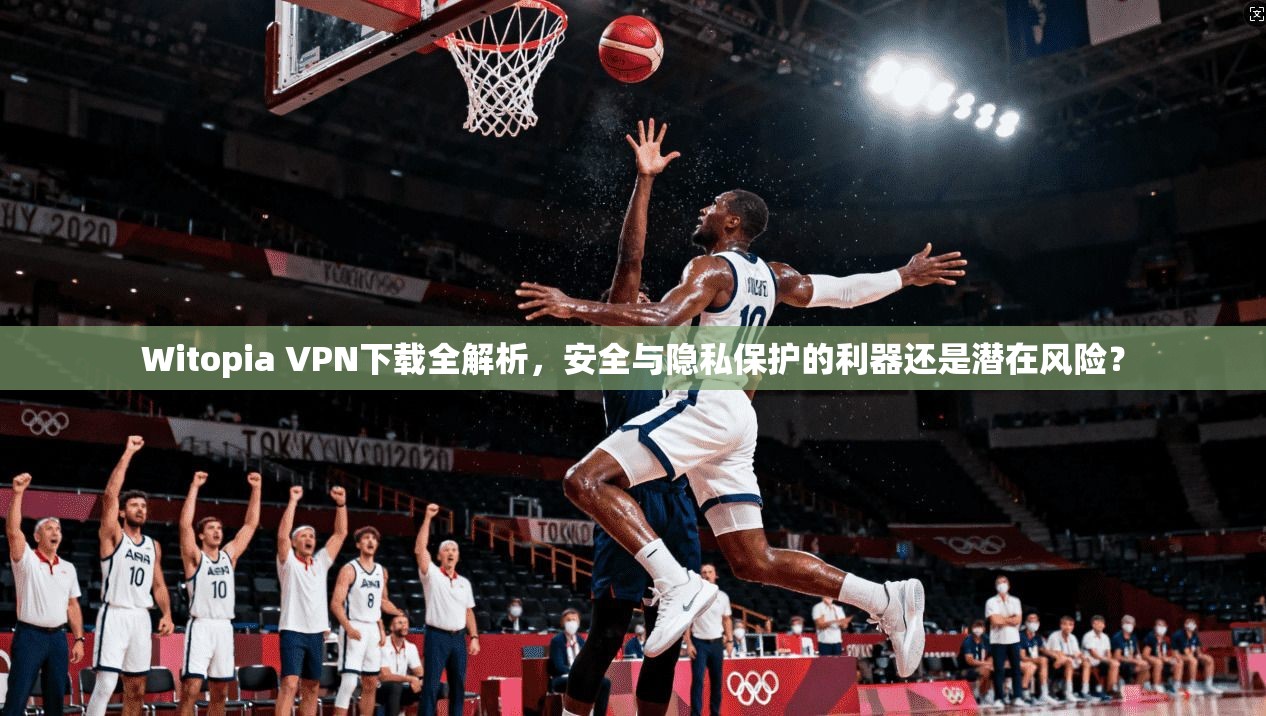Witopia VPN下载全解析，安全与隐私保护的利器还是潜在风险？