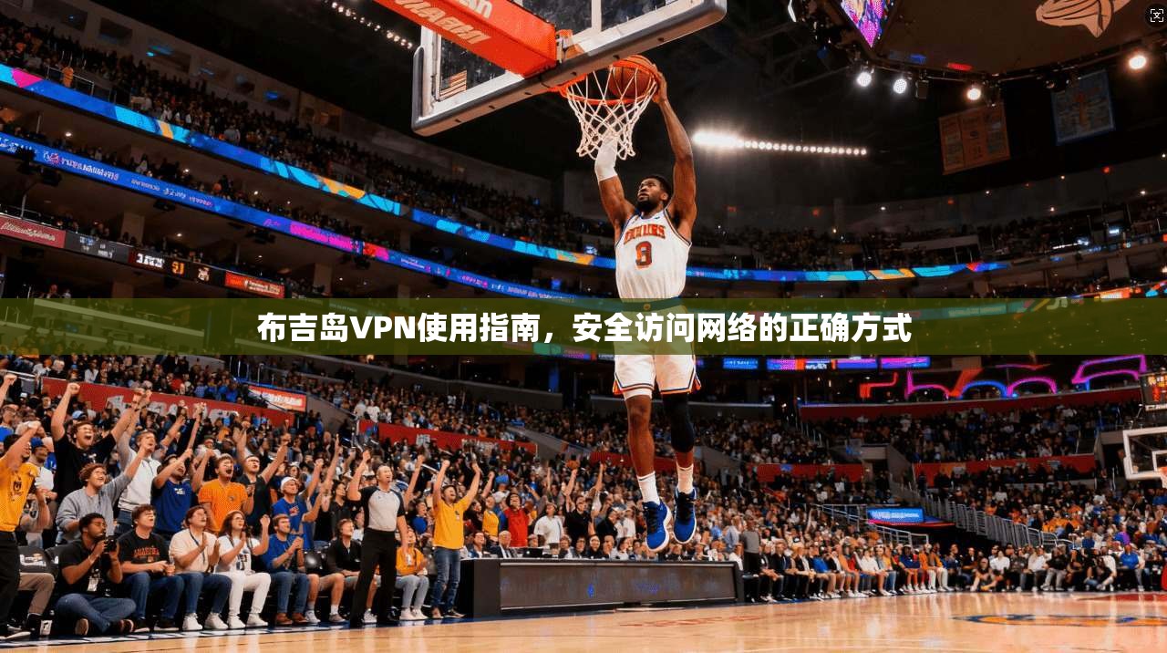 布吉岛VPN使用指南，安全访问网络的正确方式