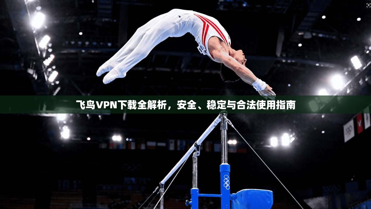 飞鸟VPN下载全解析,安全、稳定与合法使用指南 飞鸟VPN下载全解析,安全、稳定与合法使用指南