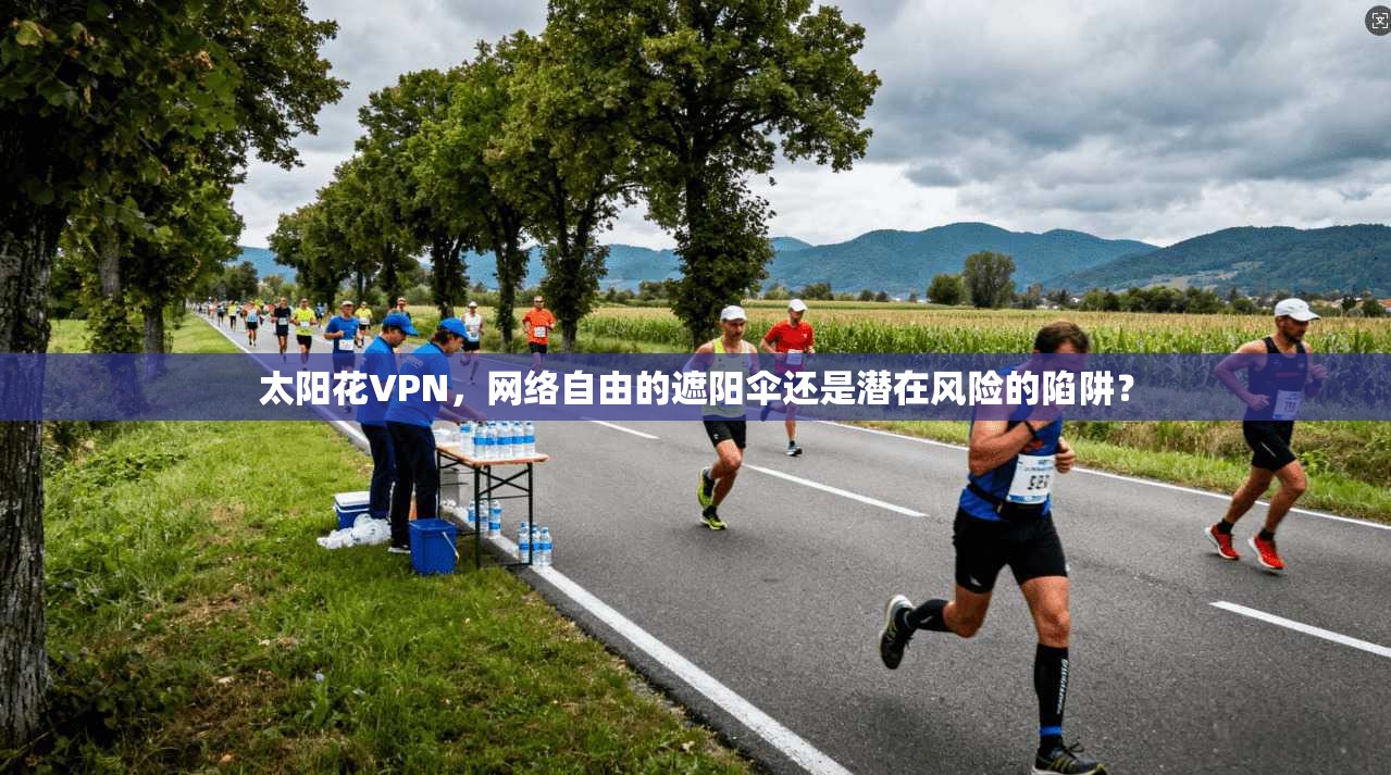 太阳花VPN,网络自由的遮阳伞还是潜在风险的陷阱? 太阳花VPN,网络自由的遮阳伞还是潜在风险的陷阱?