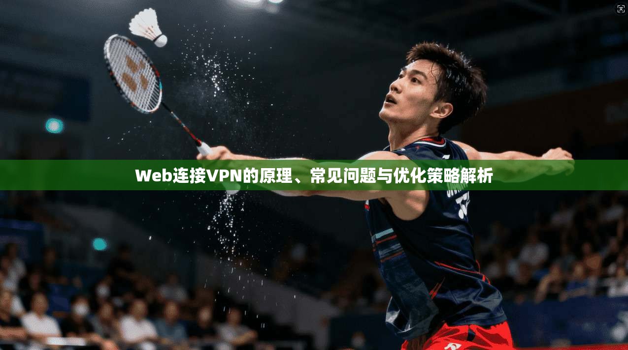 Web连接VPN的原理、常见问题与优化策略解析