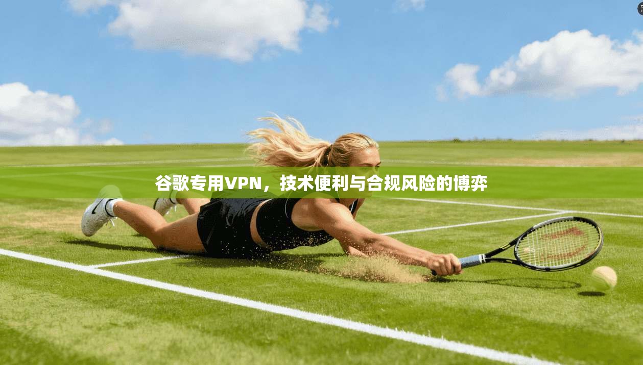 谷歌专用VPN,技术便利与合规风险的博弈 谷歌专用VPN,技术便利与合规风险的博弈