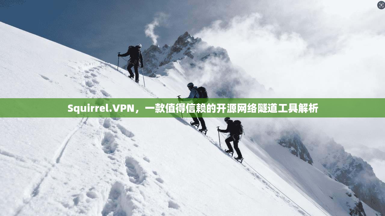 Squirrel.VPN,一款值得信赖的开源网络隧道工具解析 Squirrel.VPN,一款值得信赖的开源网络隧道工具解析