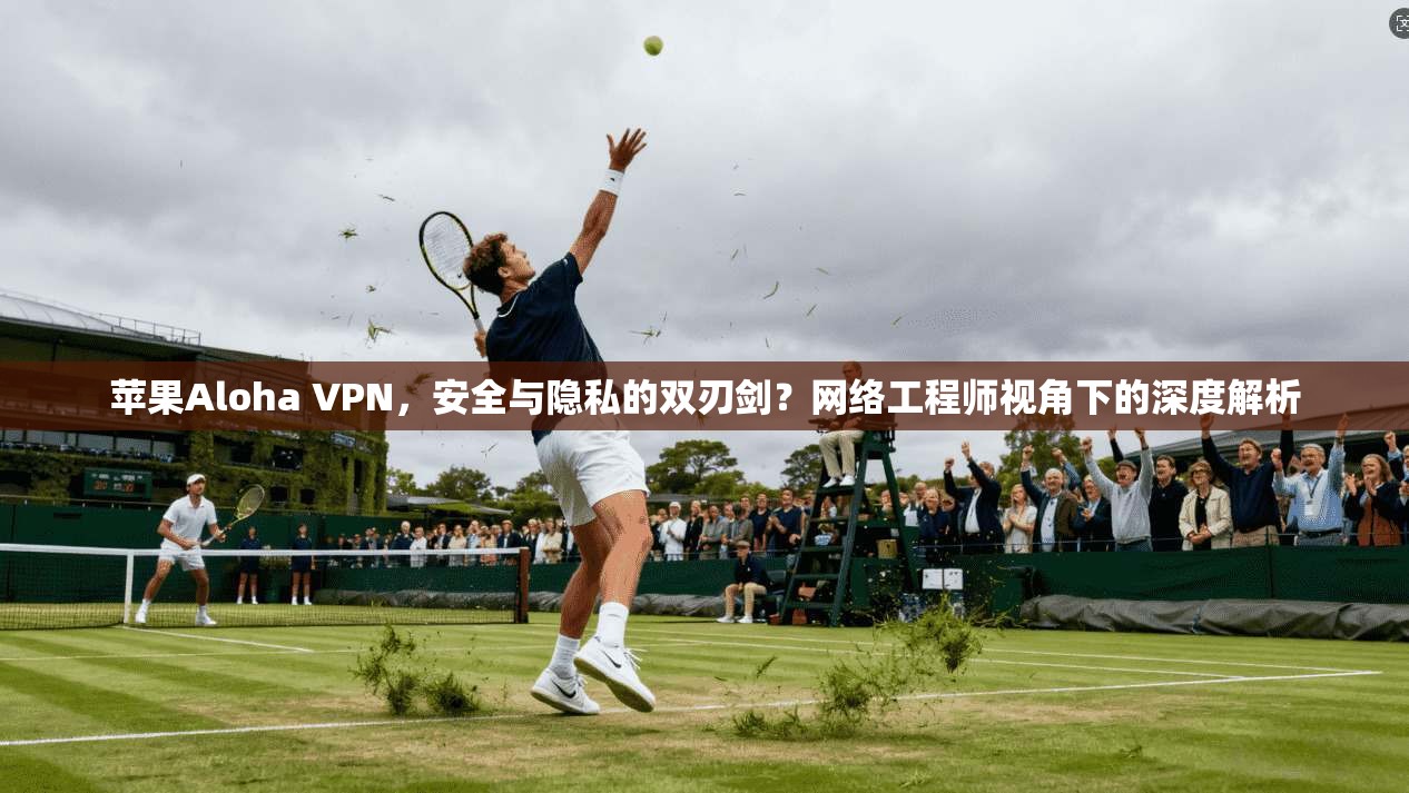 苹果Aloha VPN,安全与隐私的双刃剑?网络工程师视角下的深度解析 苹果Aloha VPN,安全与隐私的双刃剑?网络工程师视角下的深度解析