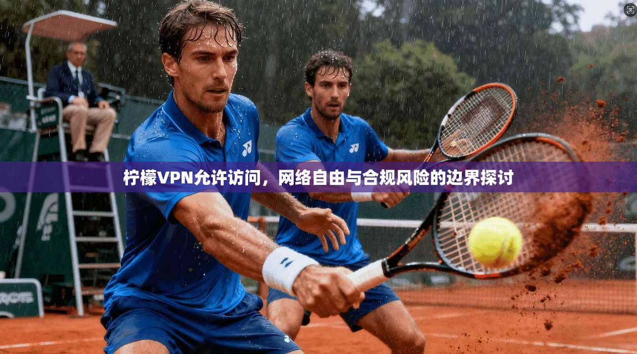 柠檬VPN允许访问,网络自由与合规风险的边界探讨 柠檬VPN允许访问,网络自由与合规风险的边界探讨