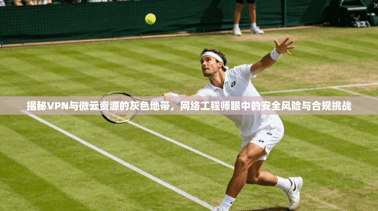 揭秘VPN与微云资源的灰色地带,网络工程师眼中的安全风险与合规挑战 揭秘VPN与微云资源的灰色地带,网络工程师眼中的安全风险与合规挑战
