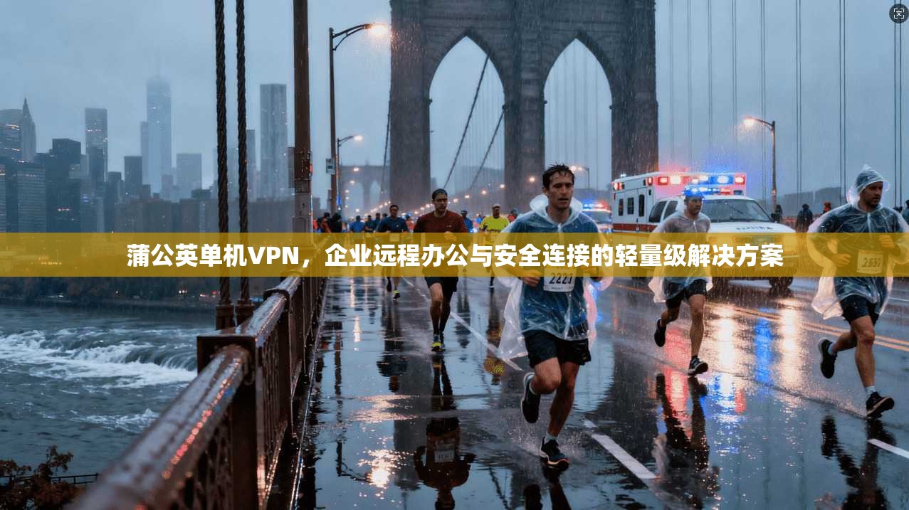蒲公英单机VPN,企业远程办公与安全连接的轻量级解决方案 蒲公英单机VPN,企业远程办公与安全连接的轻量级解决方案