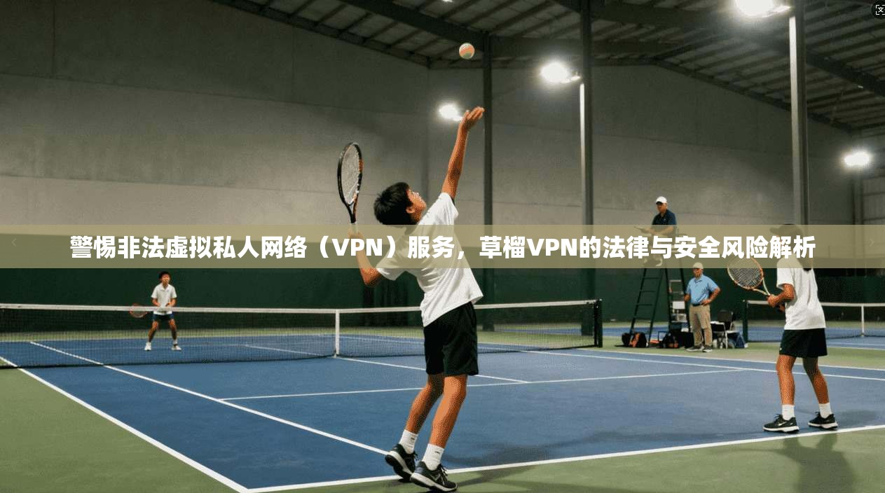 警惕非法虚拟私人网络(VPN)服务,草榴VPN的法律与安全风险解析 警惕非法虚拟私人网络(VPN)服务,草榴VPN的法律与安全风险解析