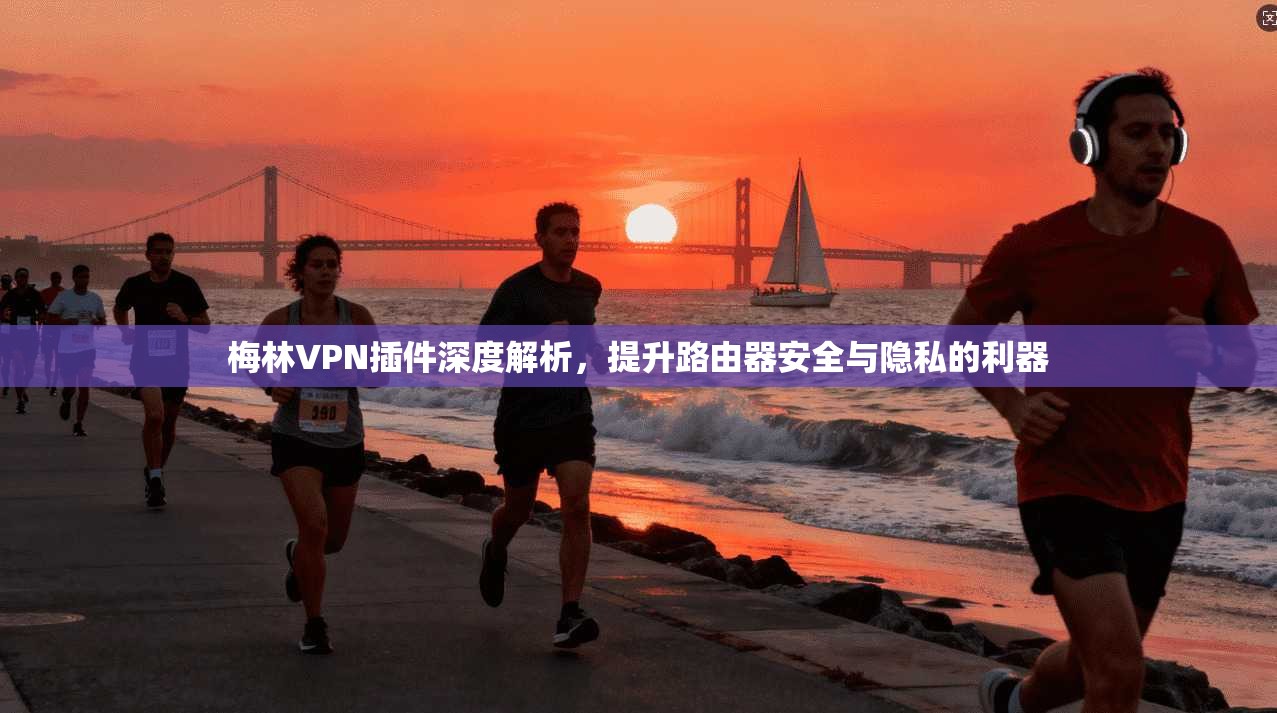 梅林VPN插件深度解析,提升路由器安全与隐私的利器 梅林VPN插件深度解析,提升路由器安全与隐私的利器