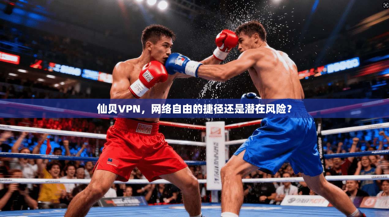 仙贝VPN,网络自由的捷径还是潜在风险? 仙贝VPN,网络自由的捷径还是潜在风险?